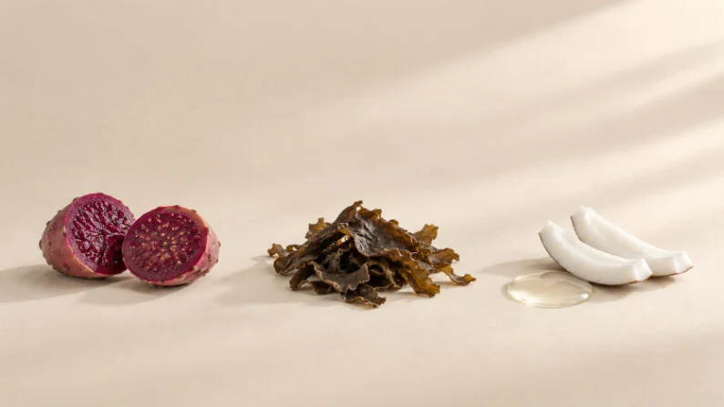 仙人掌果、褐藻与椰子并排
